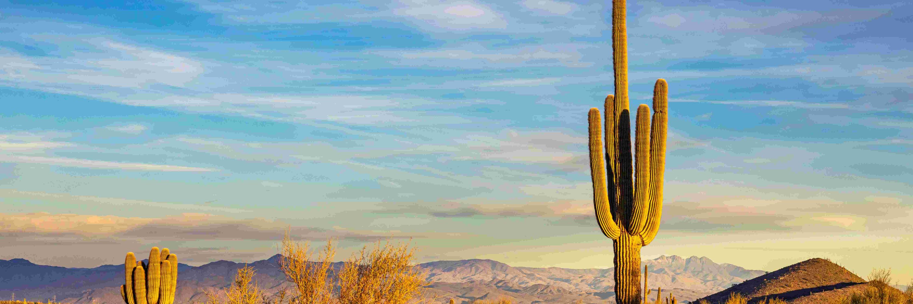 Arizona Environment