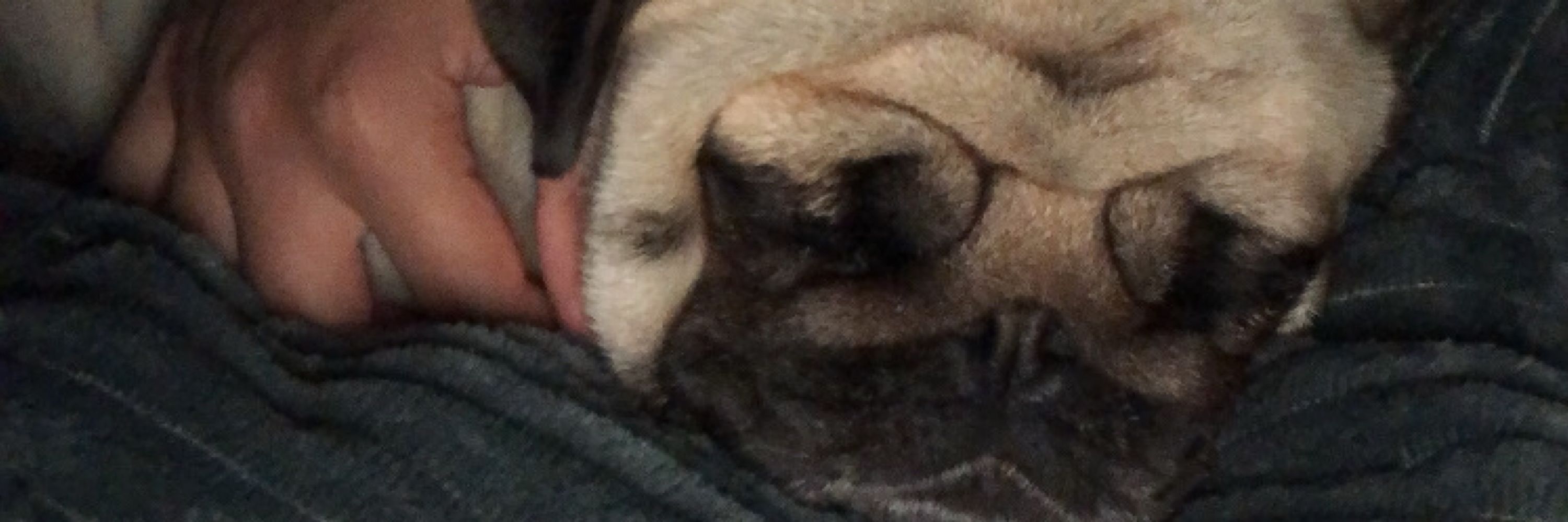 agatha