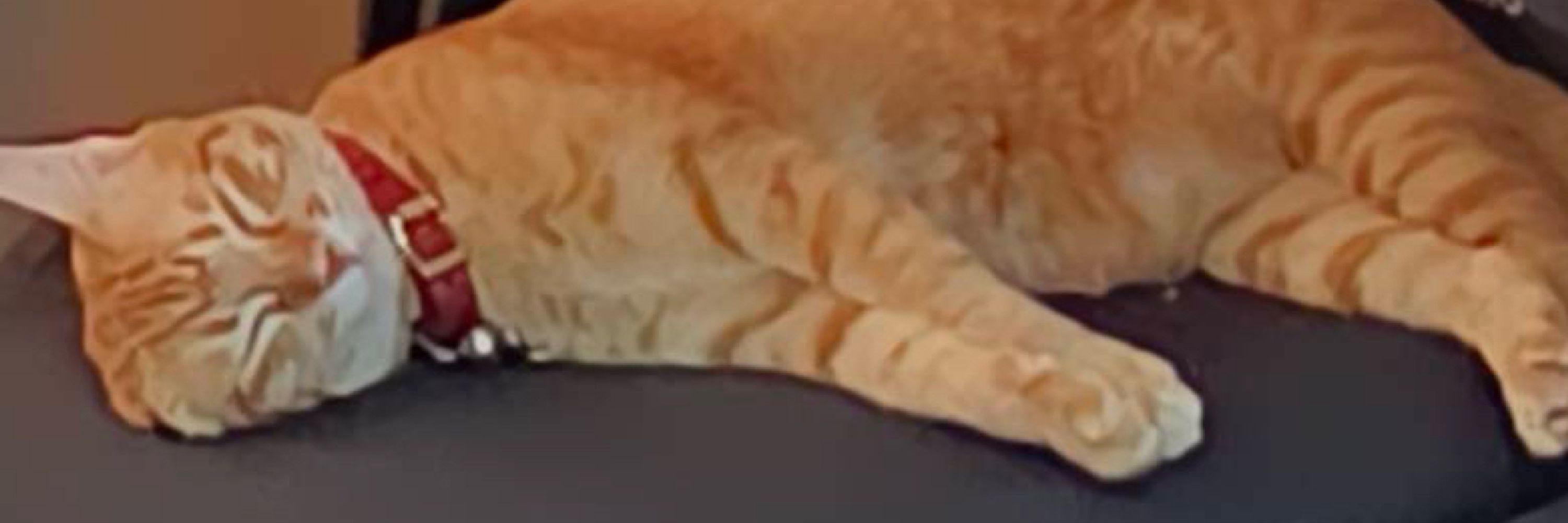 0xmiki