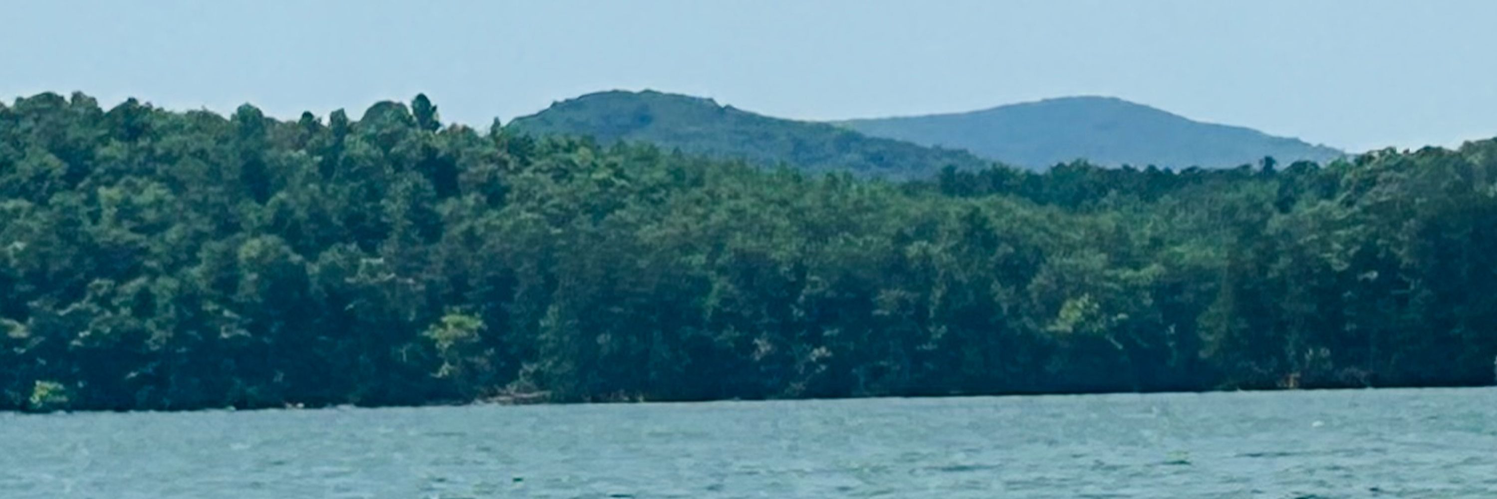 NehaPathakMD