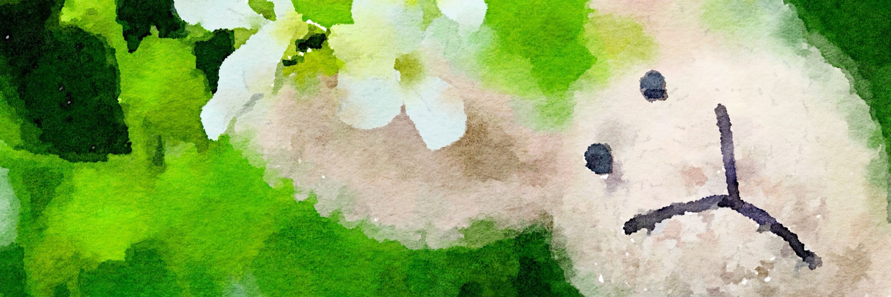 Green Rabbit Designs