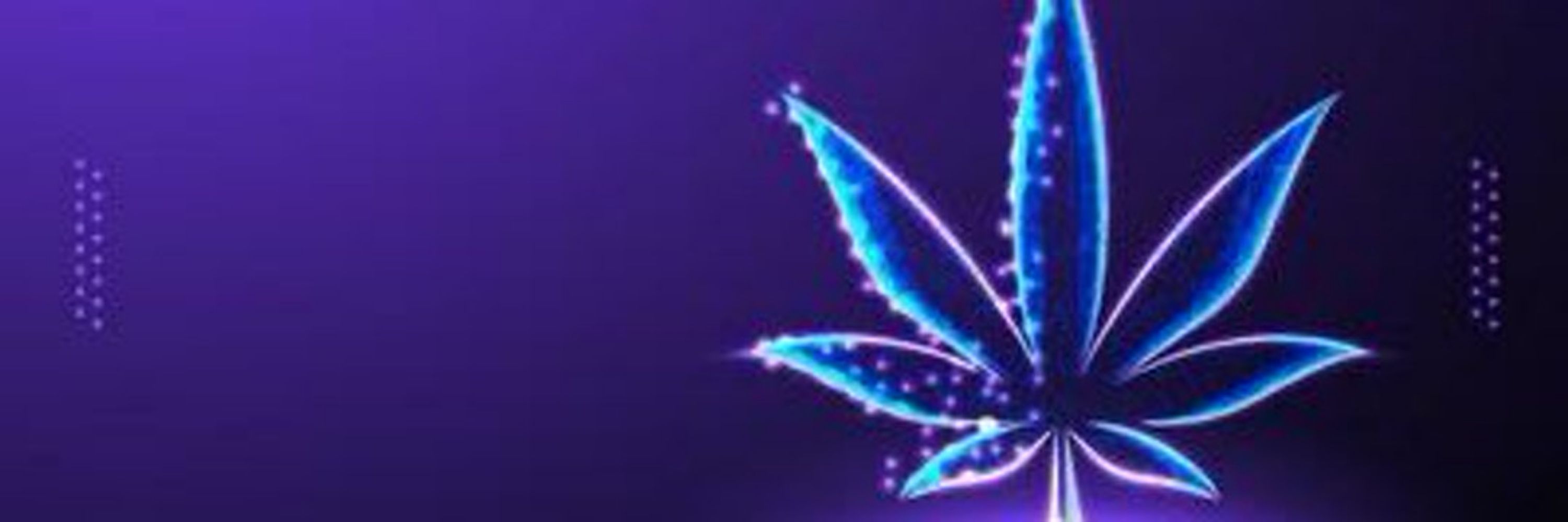 Canna Fairy