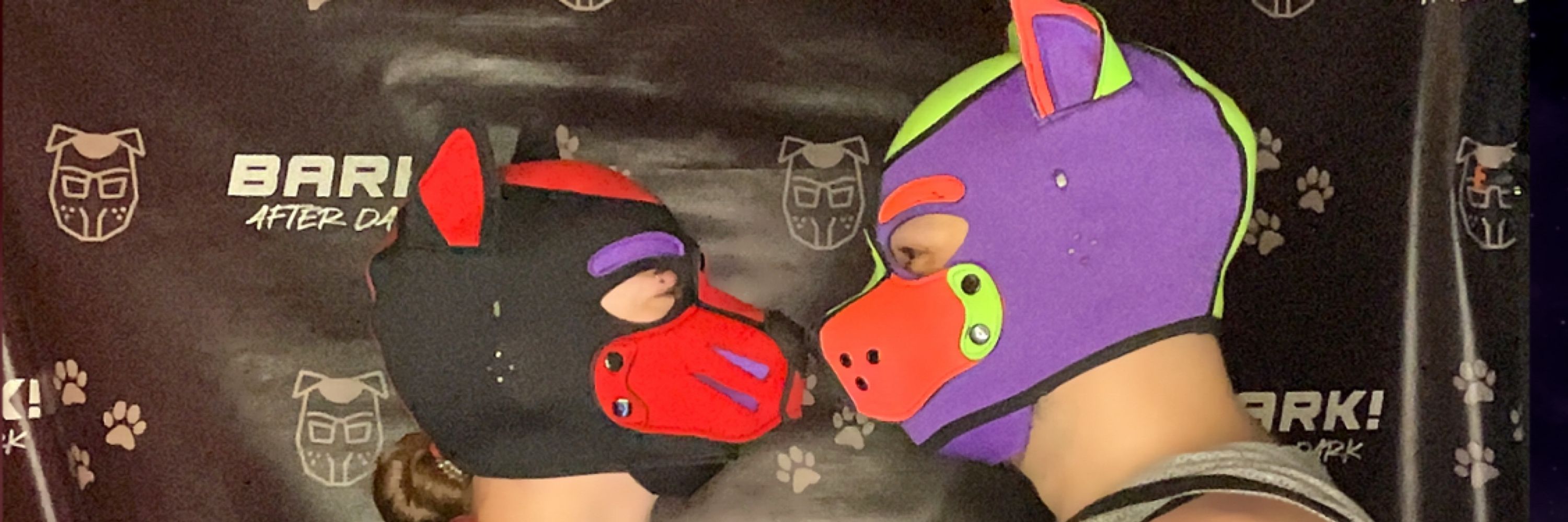 Pup Braver