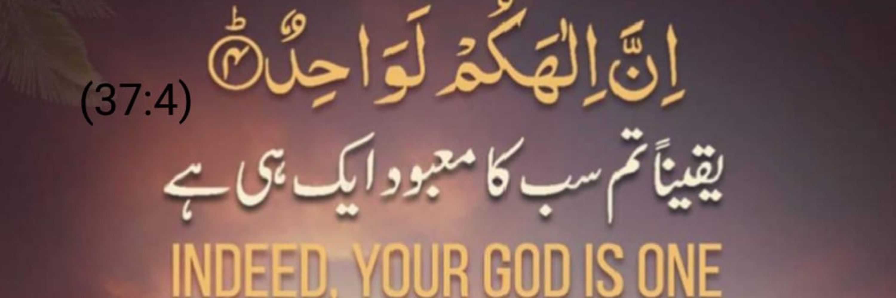 نصیر أحمد قاسمی
