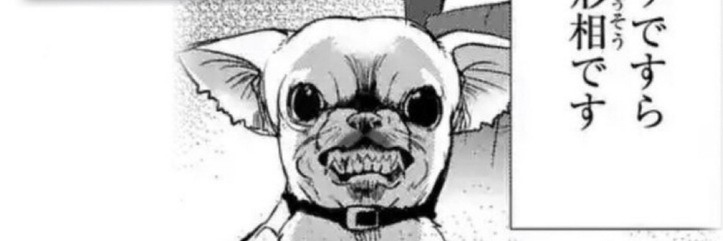 Yuki
