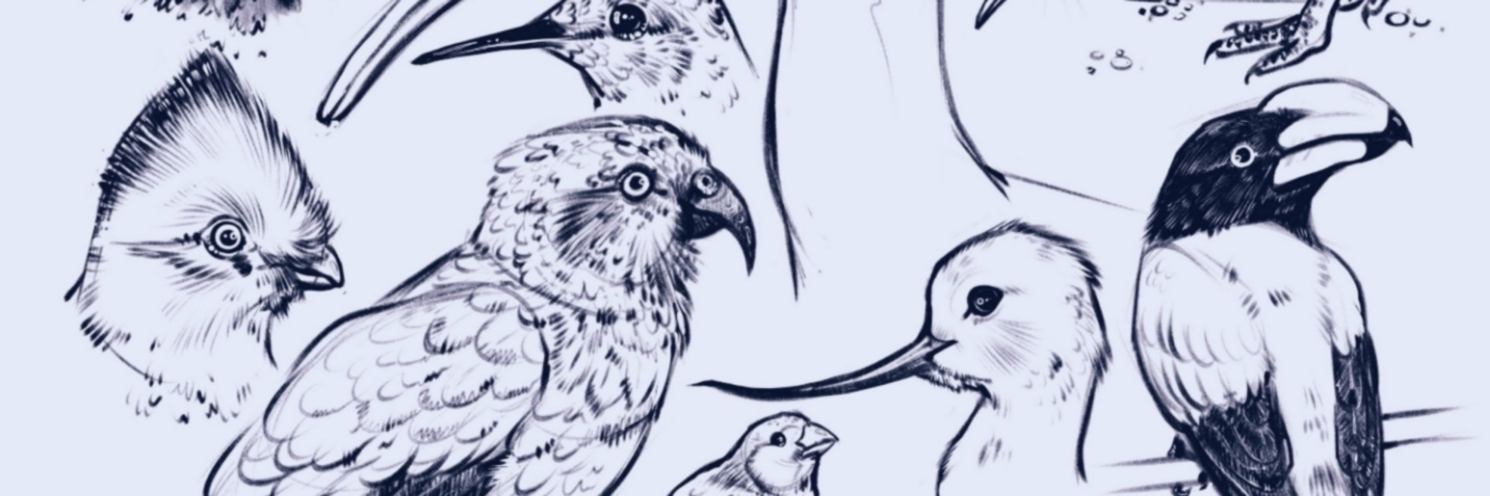 Crowmiti