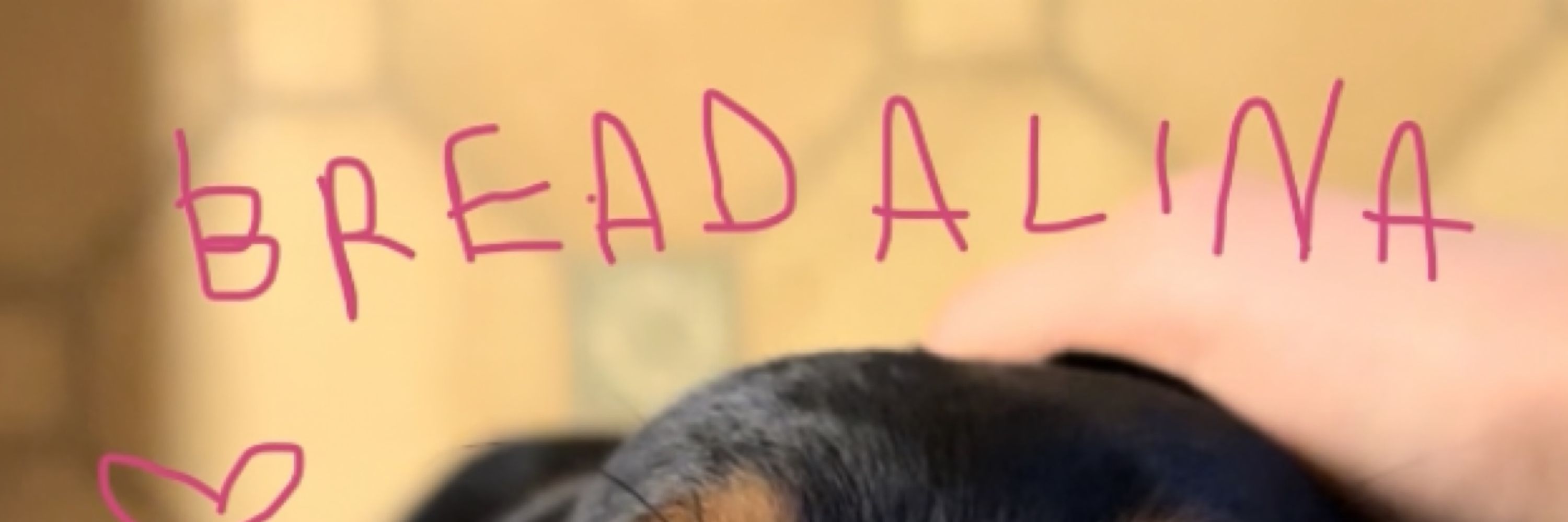 zoë bread