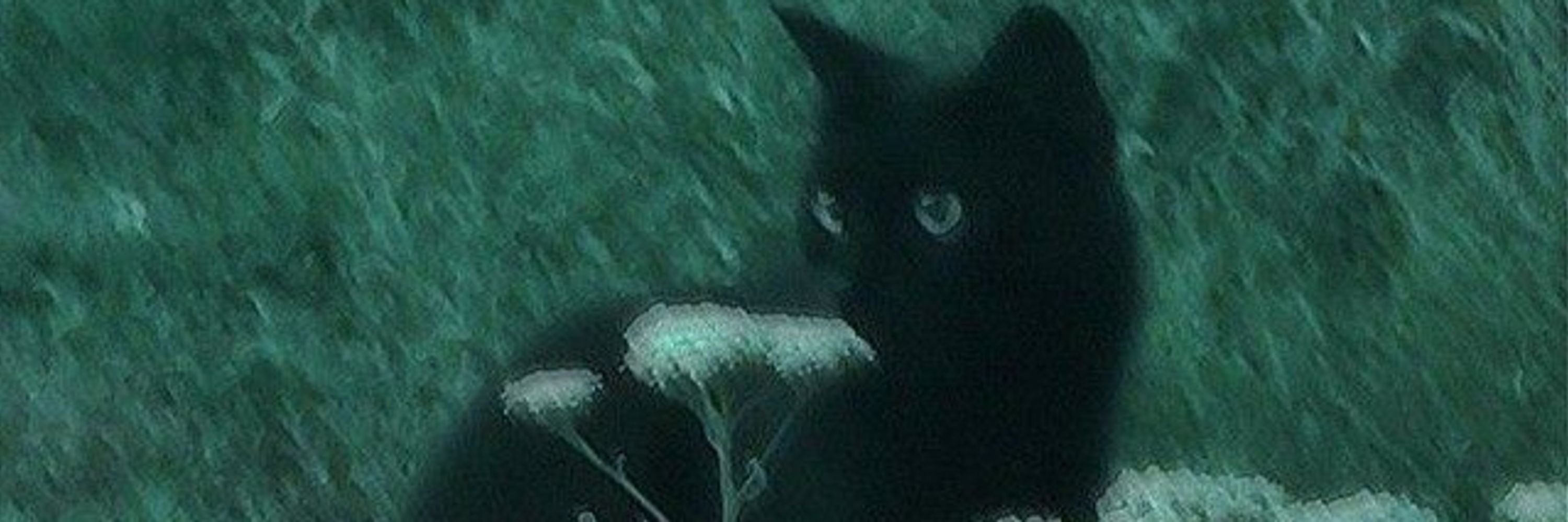 Max Aura.