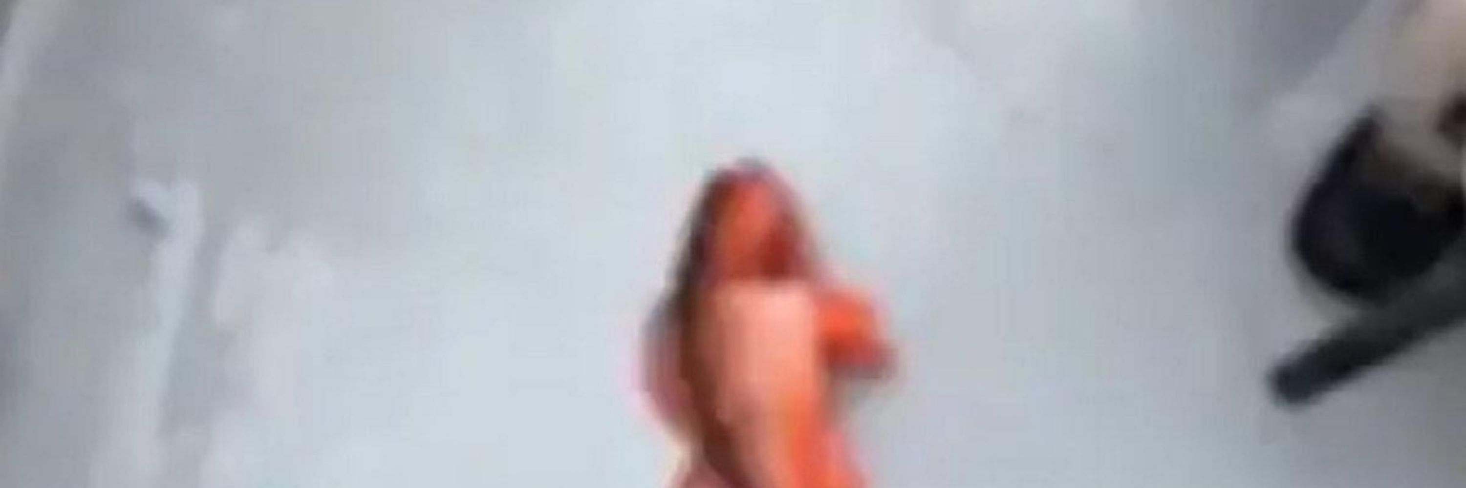 Stretch