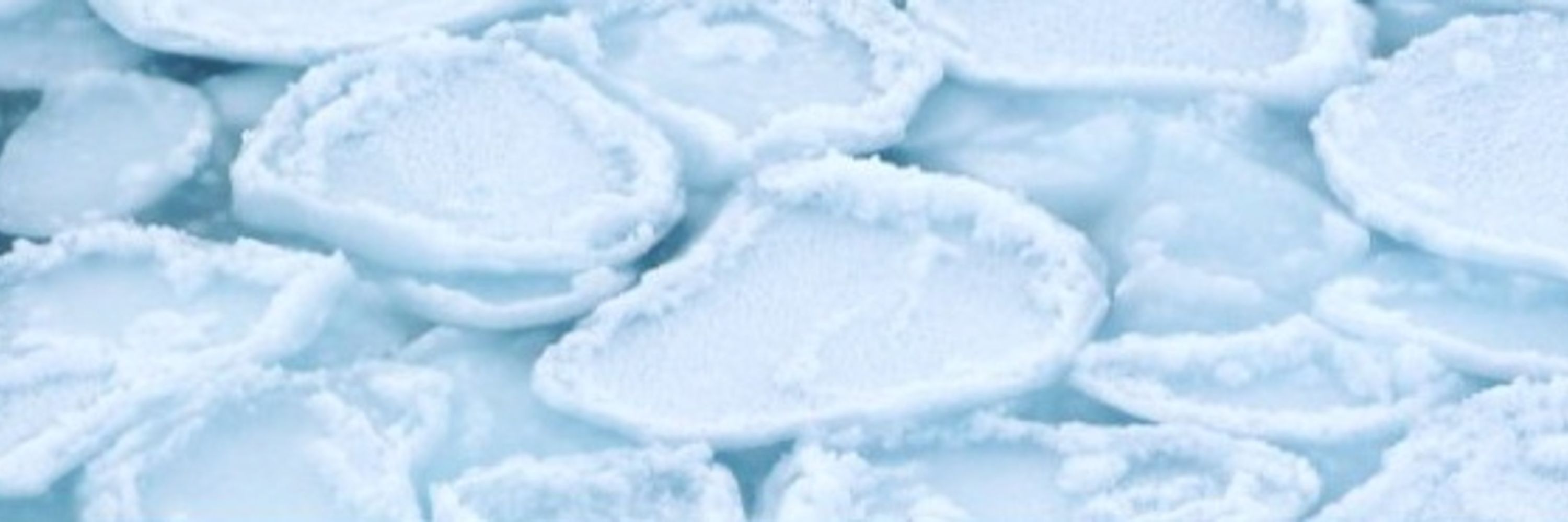 Remote Sensing of Polar Regions, University of Bremen