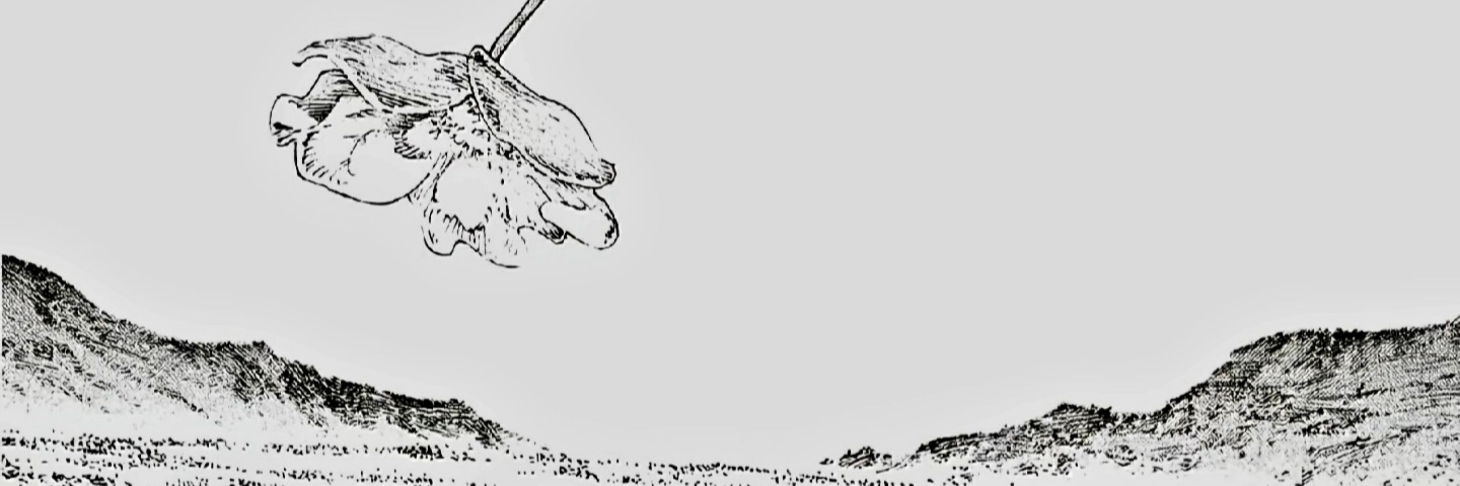 MASK樹洞（歡迎投稿）