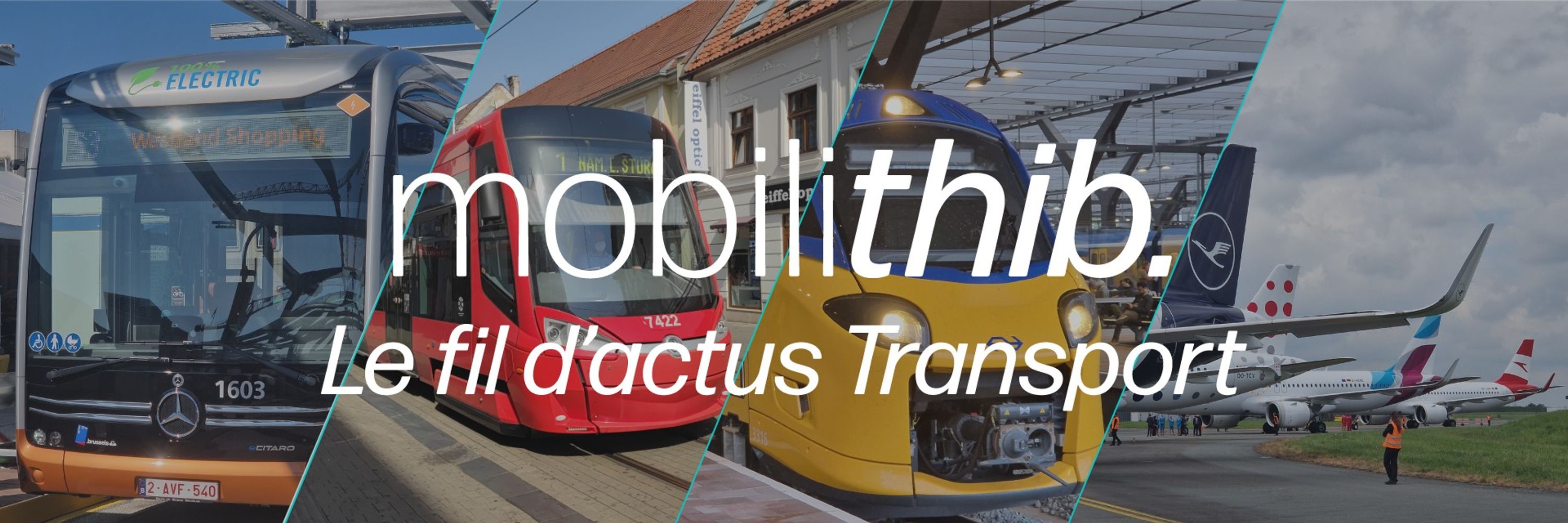 mobilithib