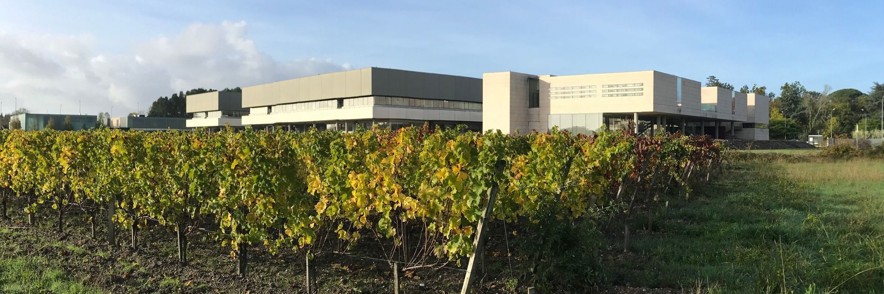 Institut des Sciences de la Vigne et du Vin