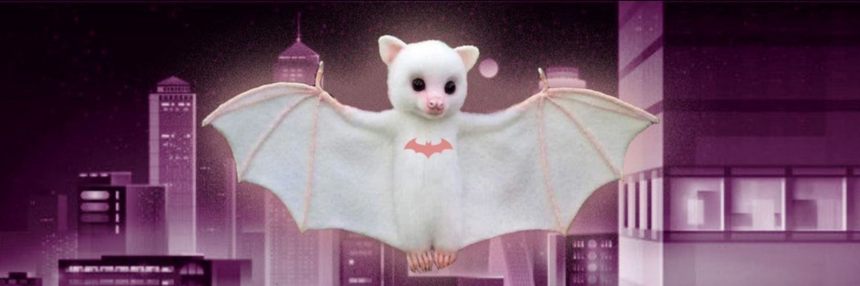 🦇Bat-iburrillo🃏