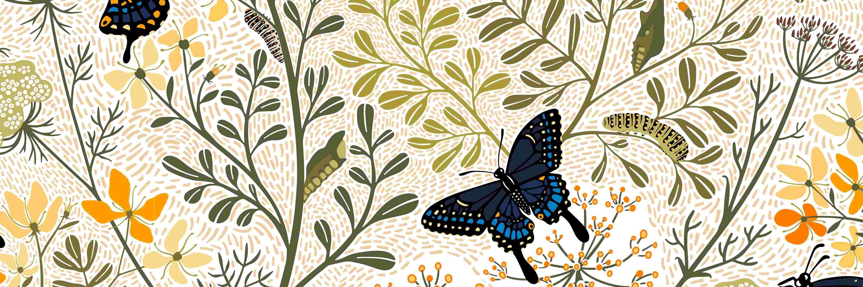 Amanda Bierbaum Design