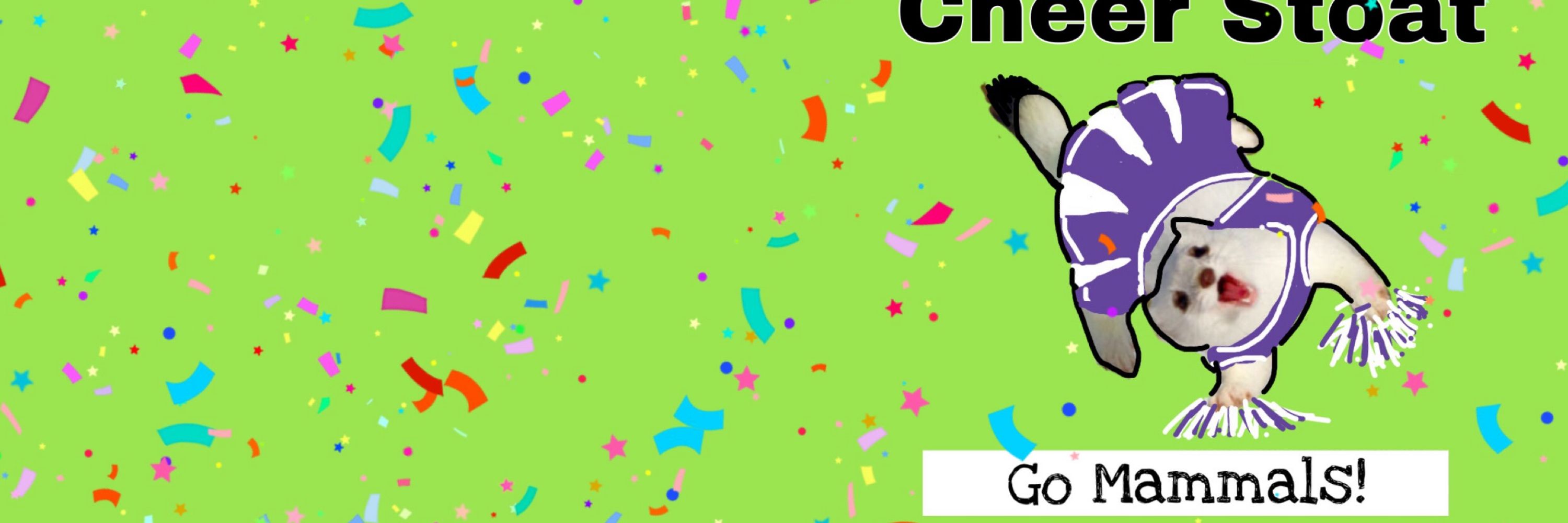 CheerStoat