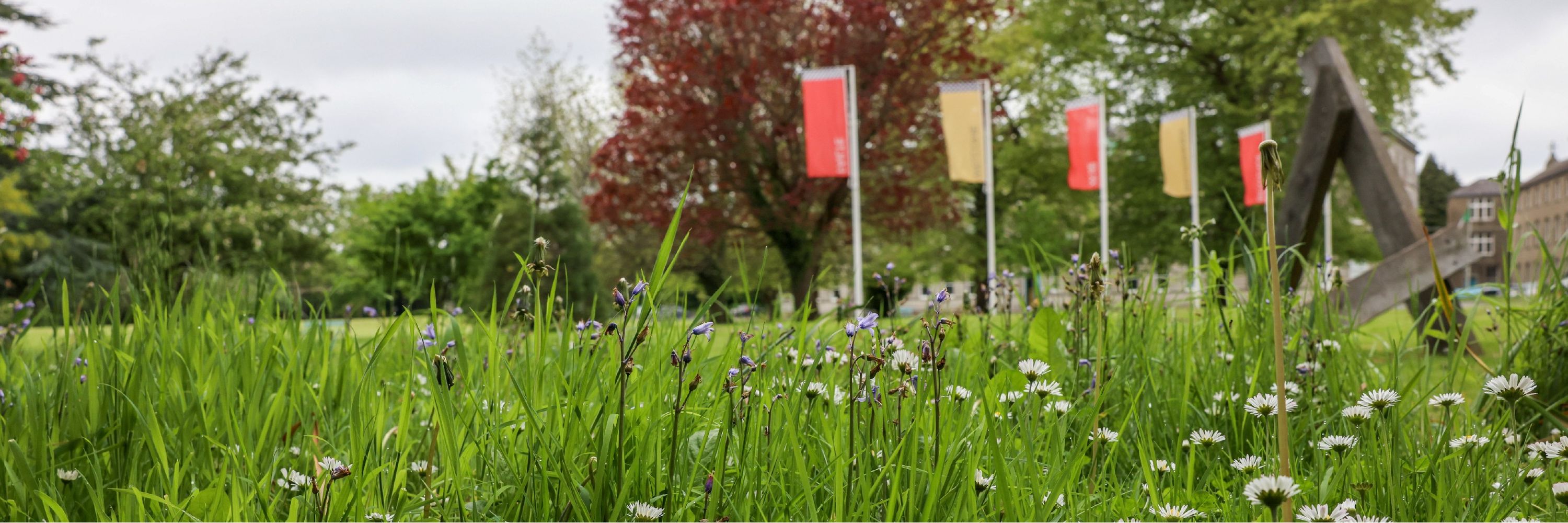 DCU Institute for Climate and Society