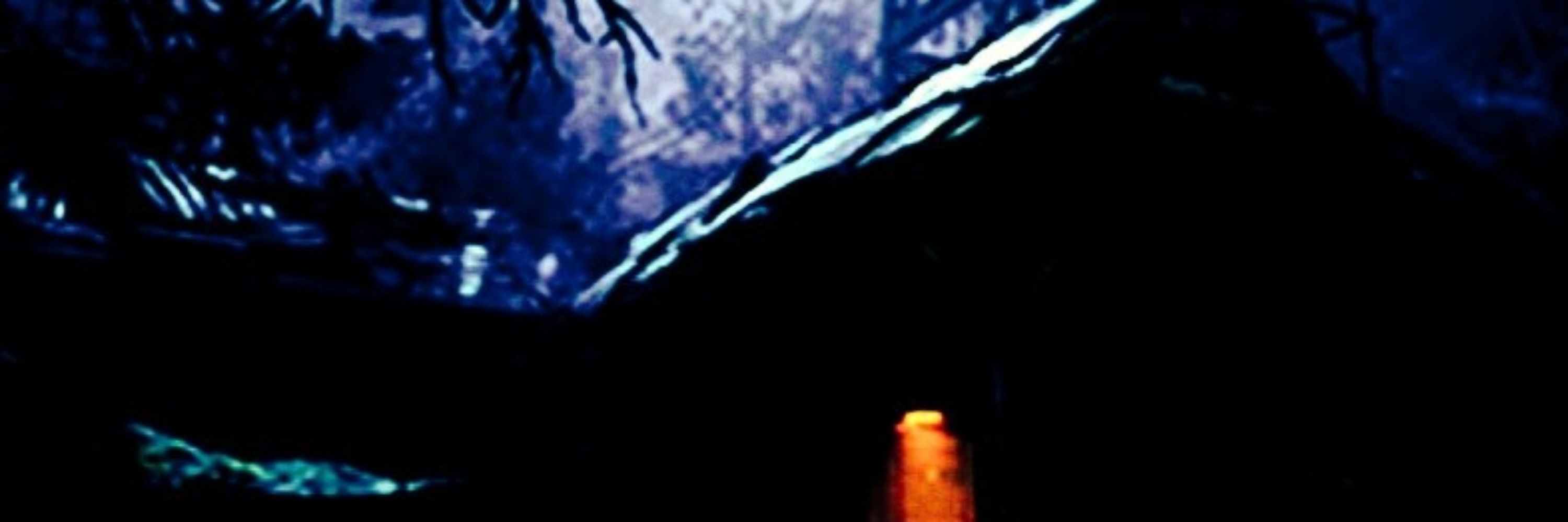 The Trapper