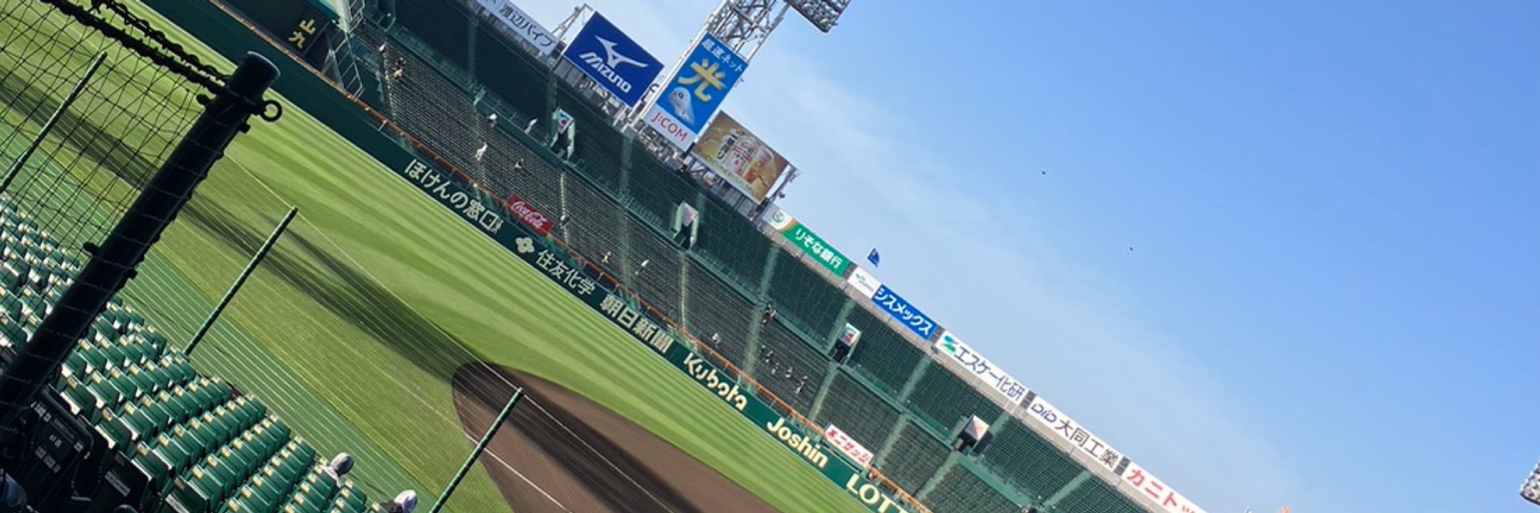 コタちゃん ネコ科のRTA勢🐈⸒⸒⸒⸒