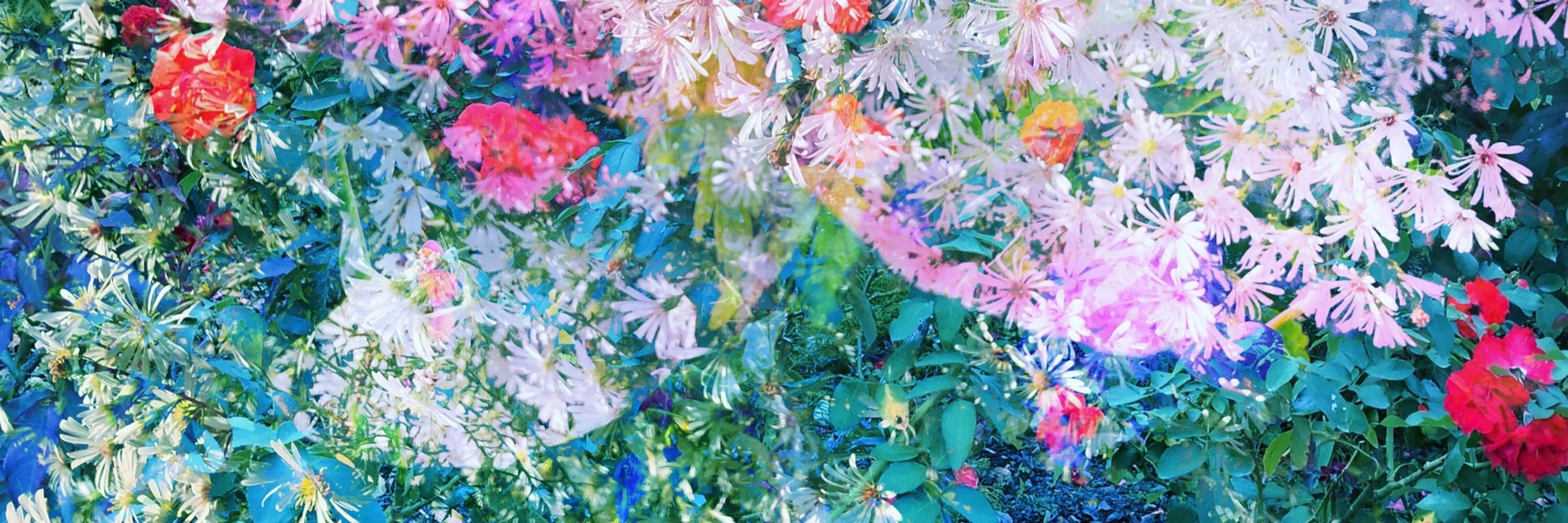 ギア