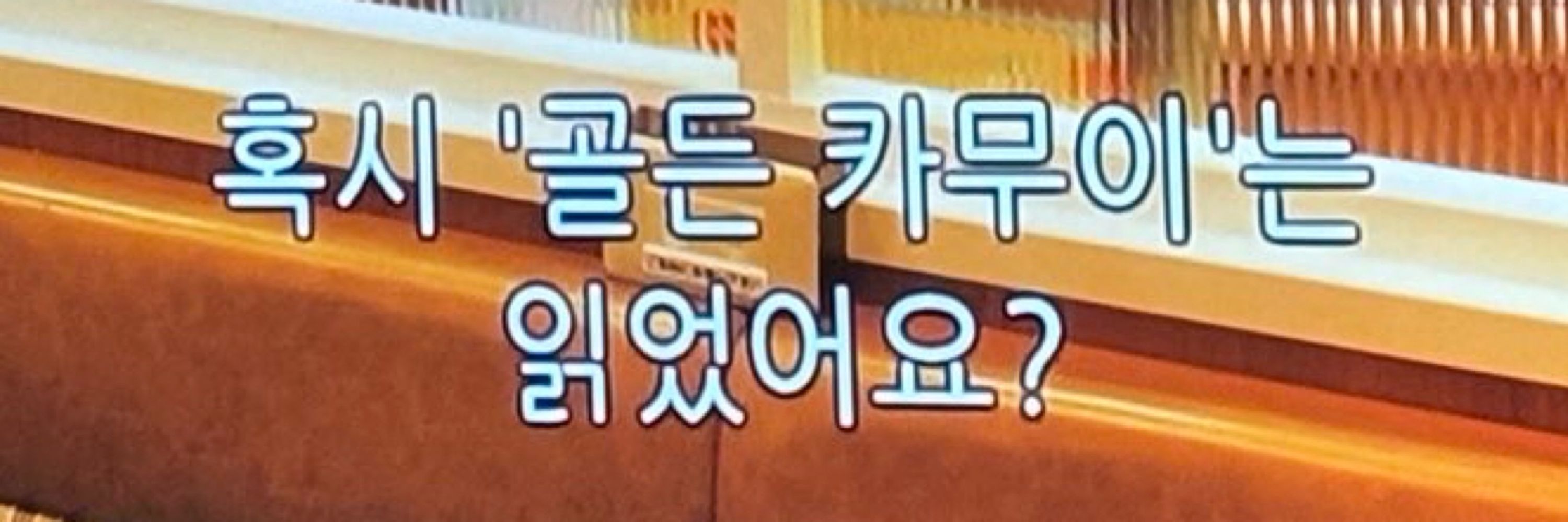 유키게이(근데관장을않한)(개방된 장)(Alpha male)+++