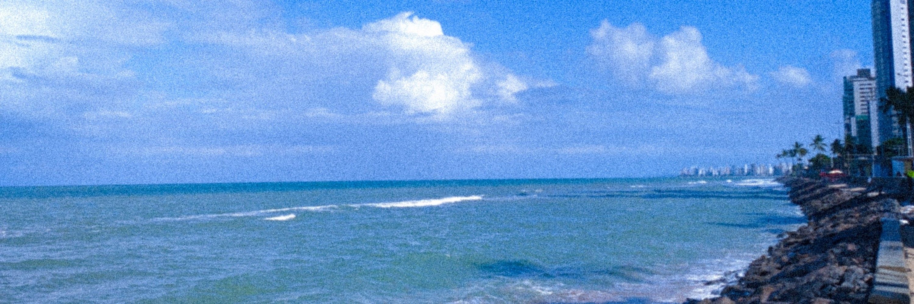 wuala