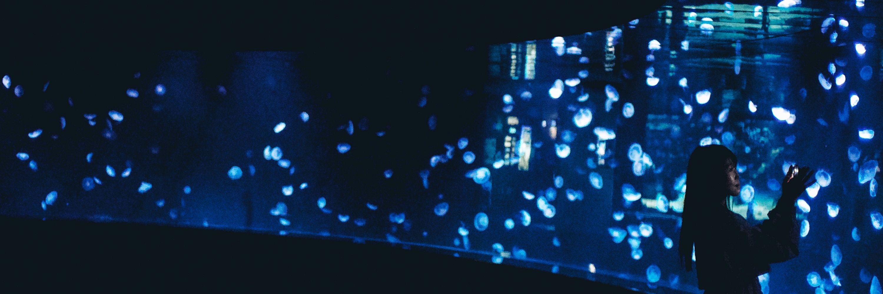 Halide