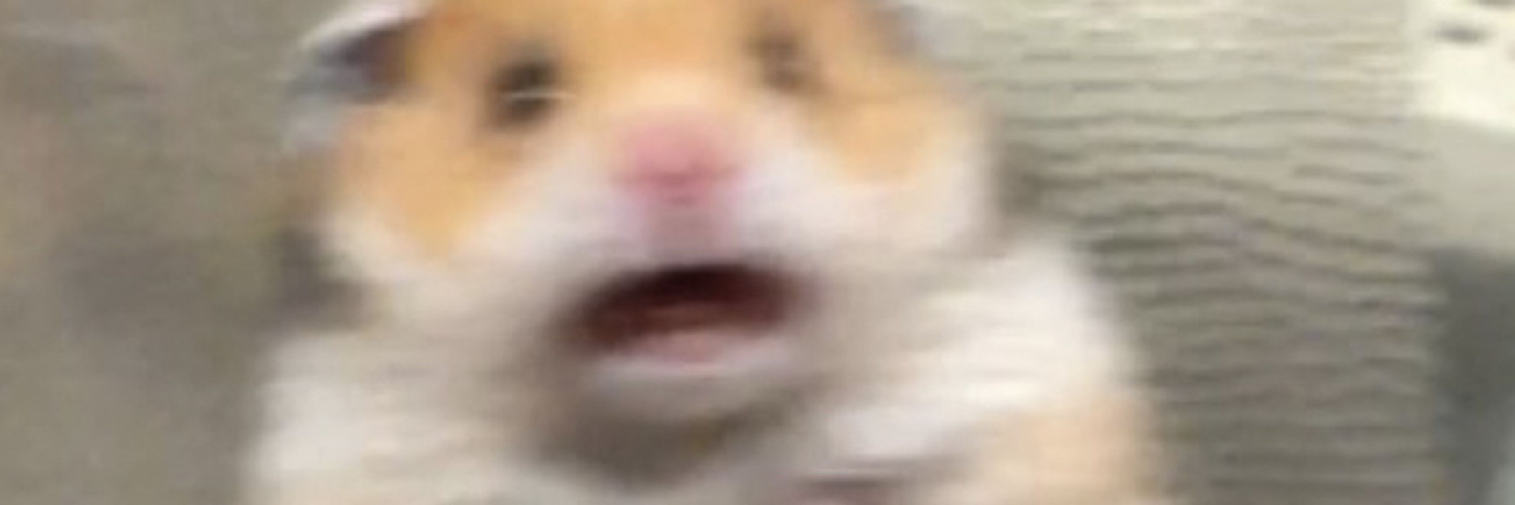 Scott