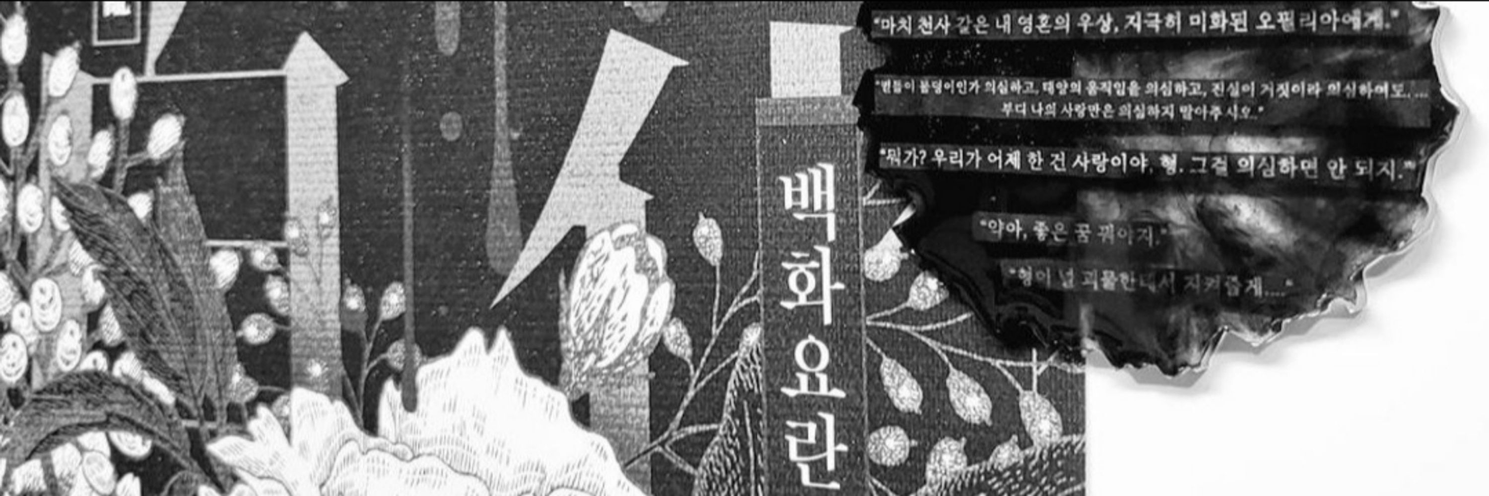 태비