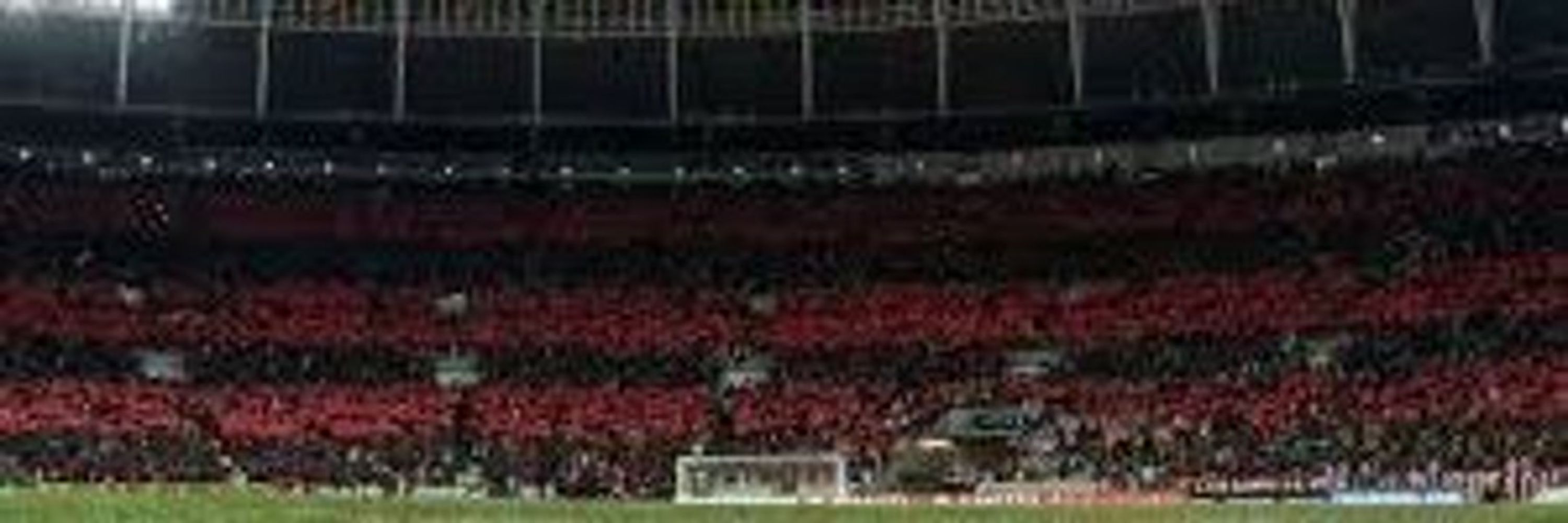 Ribeiro