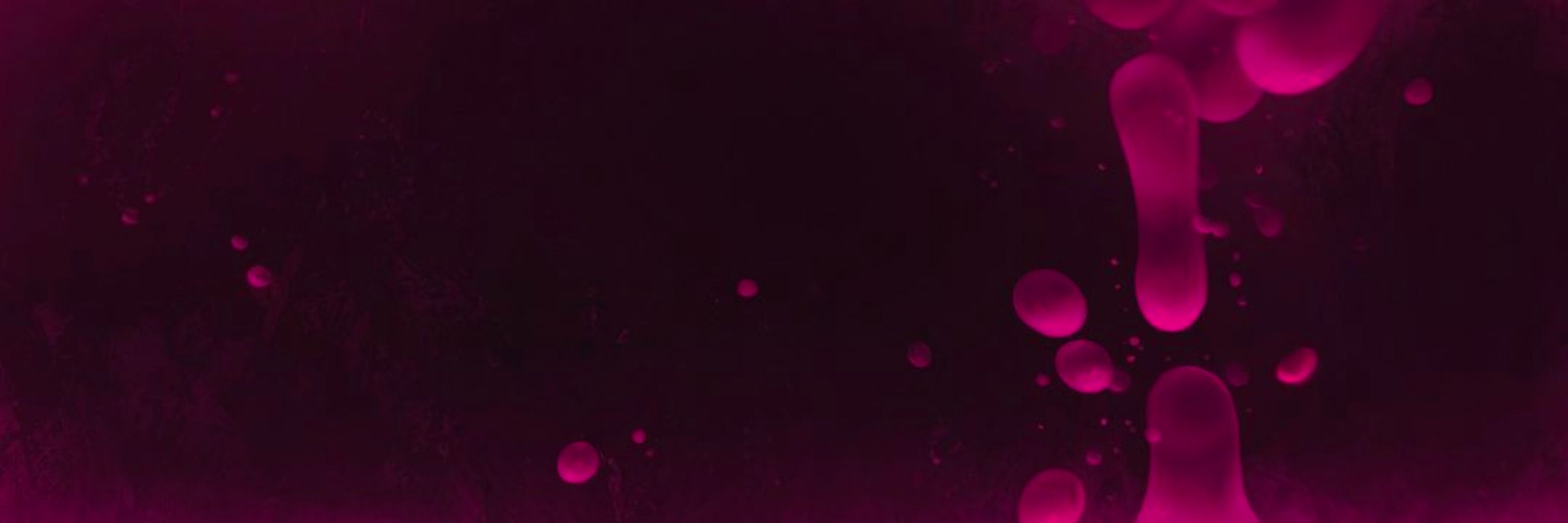 Profile banner