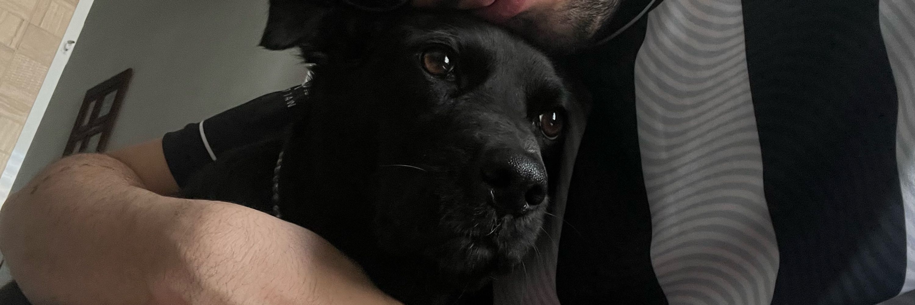 victor 
