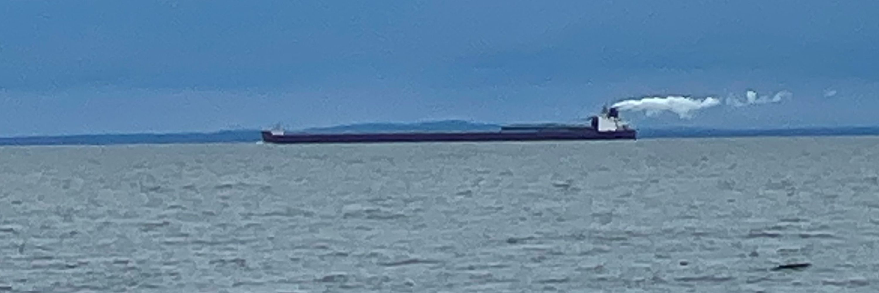 Euterpe
