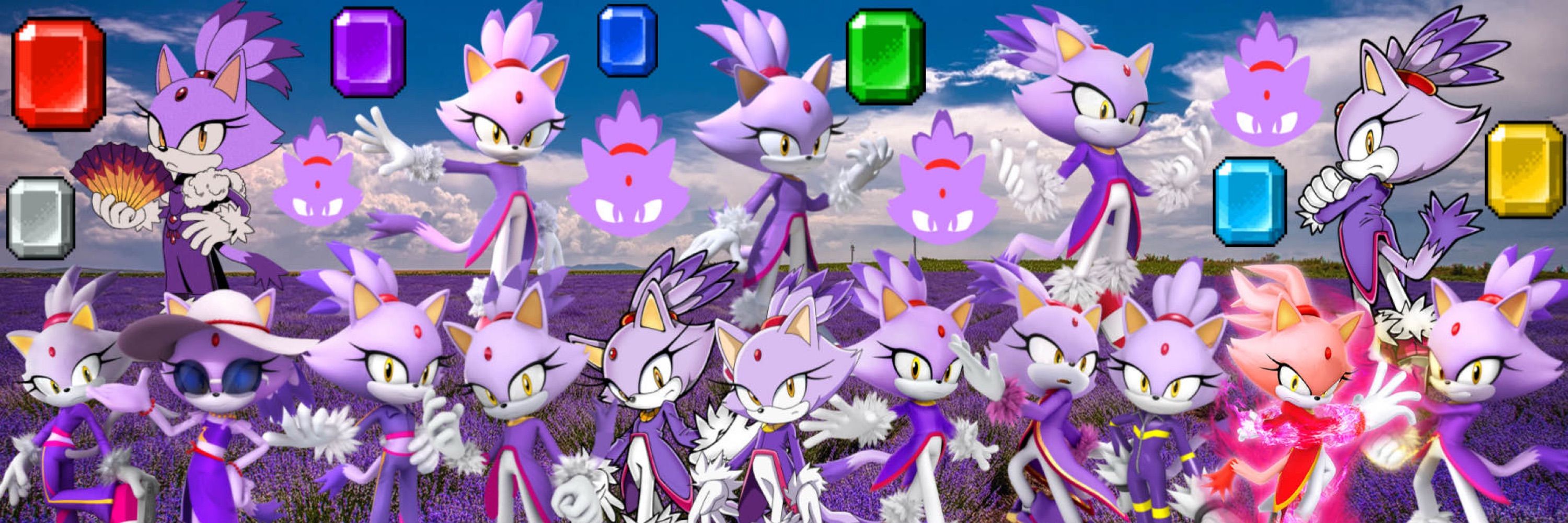 Blaze the Cat