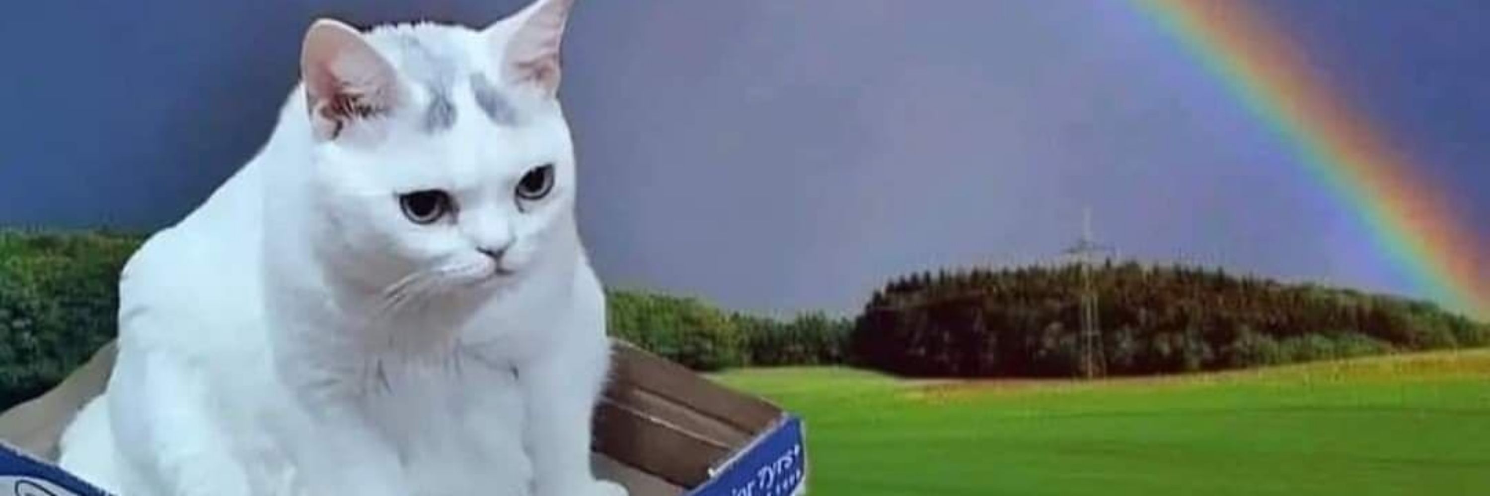 analitik düşünen biri mesela mühendis