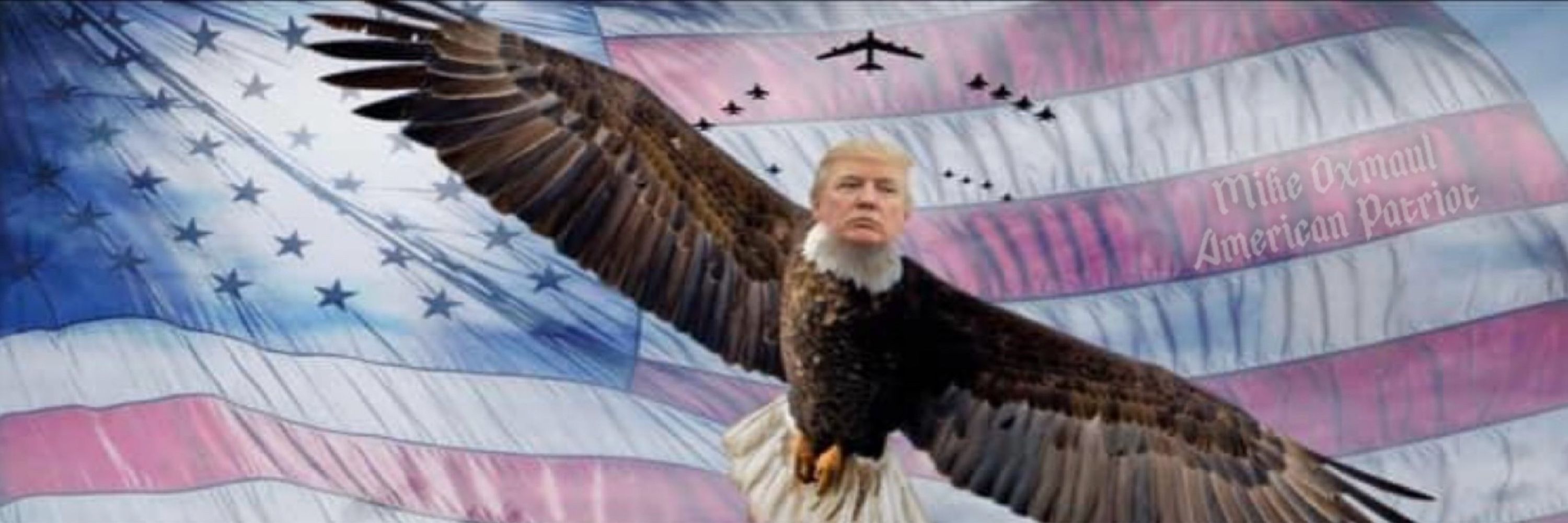 Dixie Rect For Trump