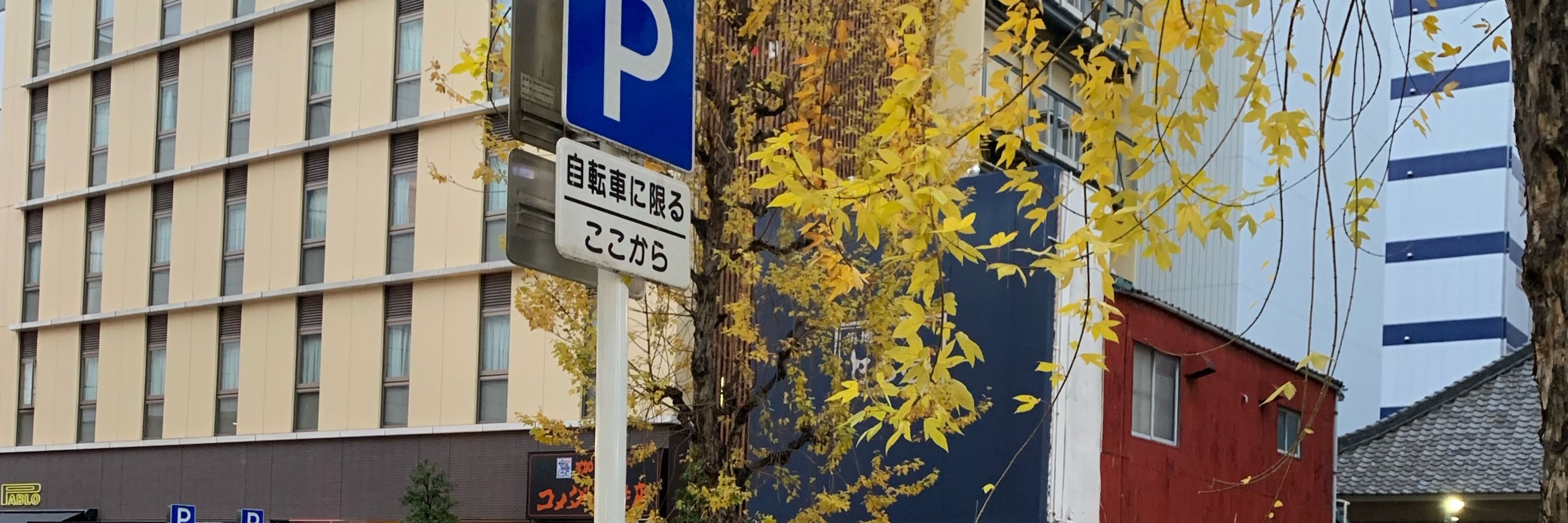 terushimem🎐