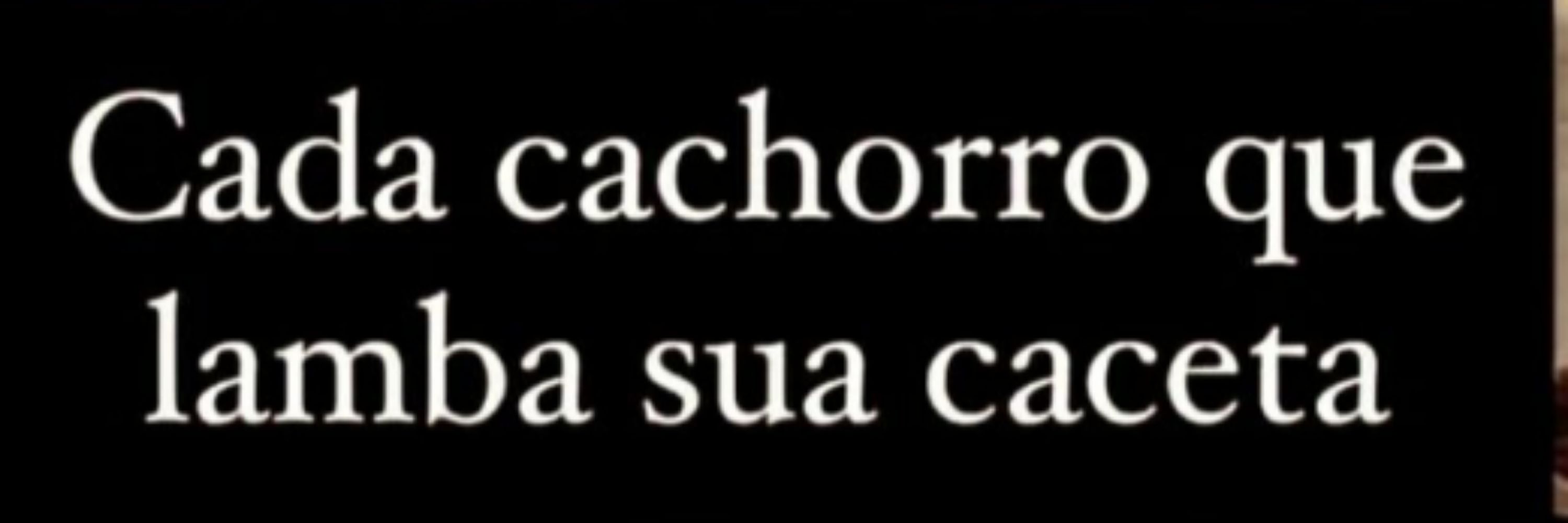 sua maldita favorita. 🫵🏾