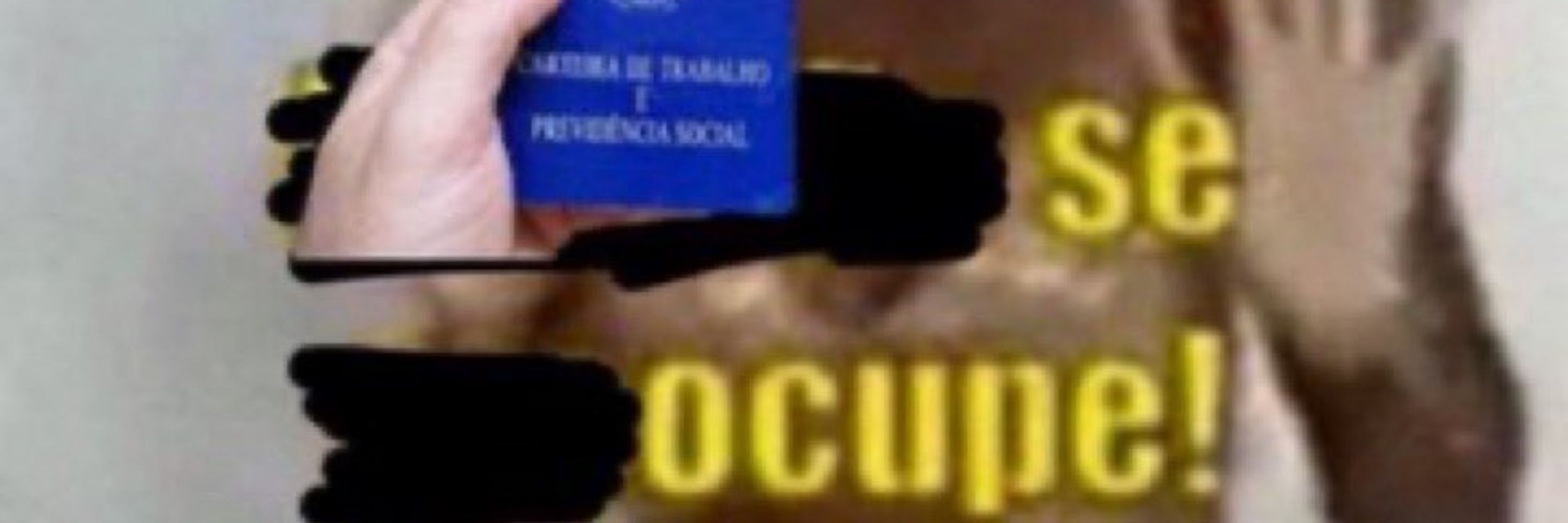 pingulin do angelo 🏳️‍⚧️