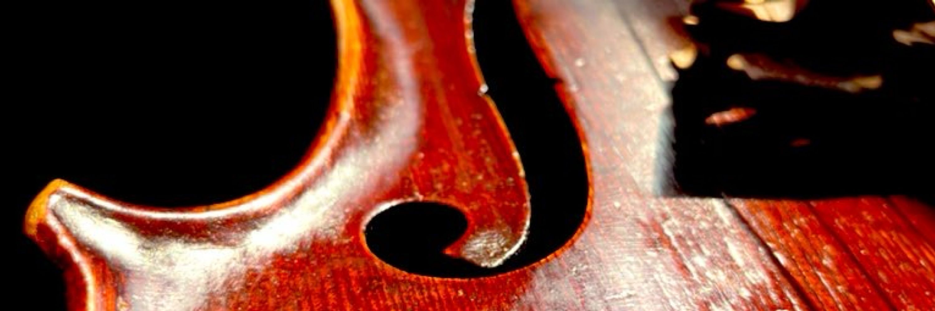 Michael Hall - Viola