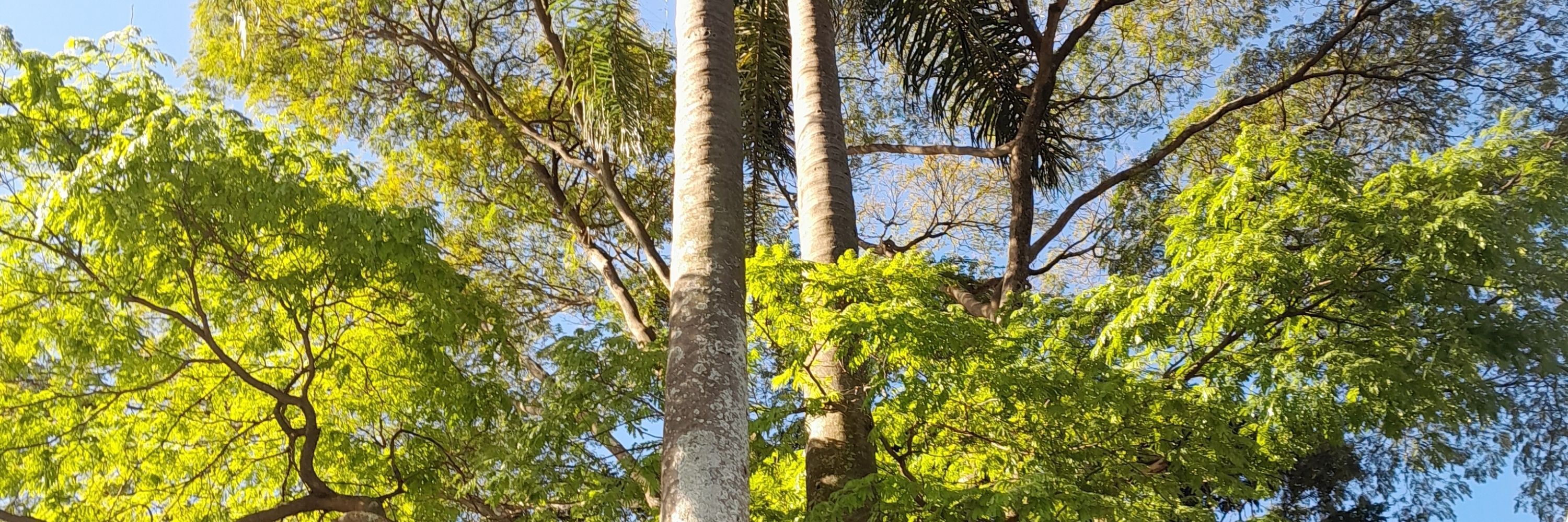g.