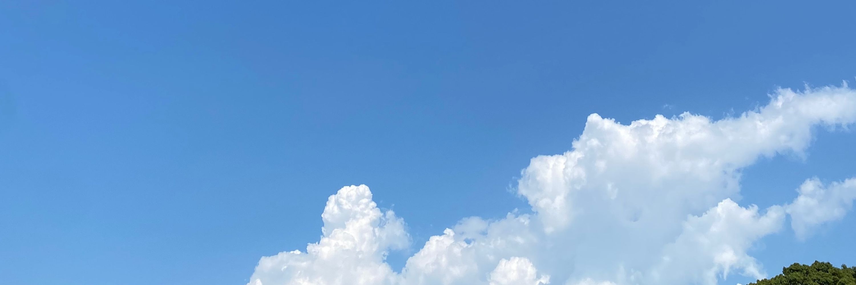 とり