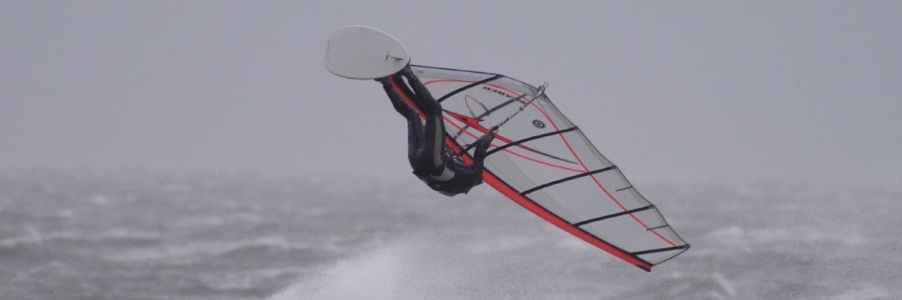 Windsurfer