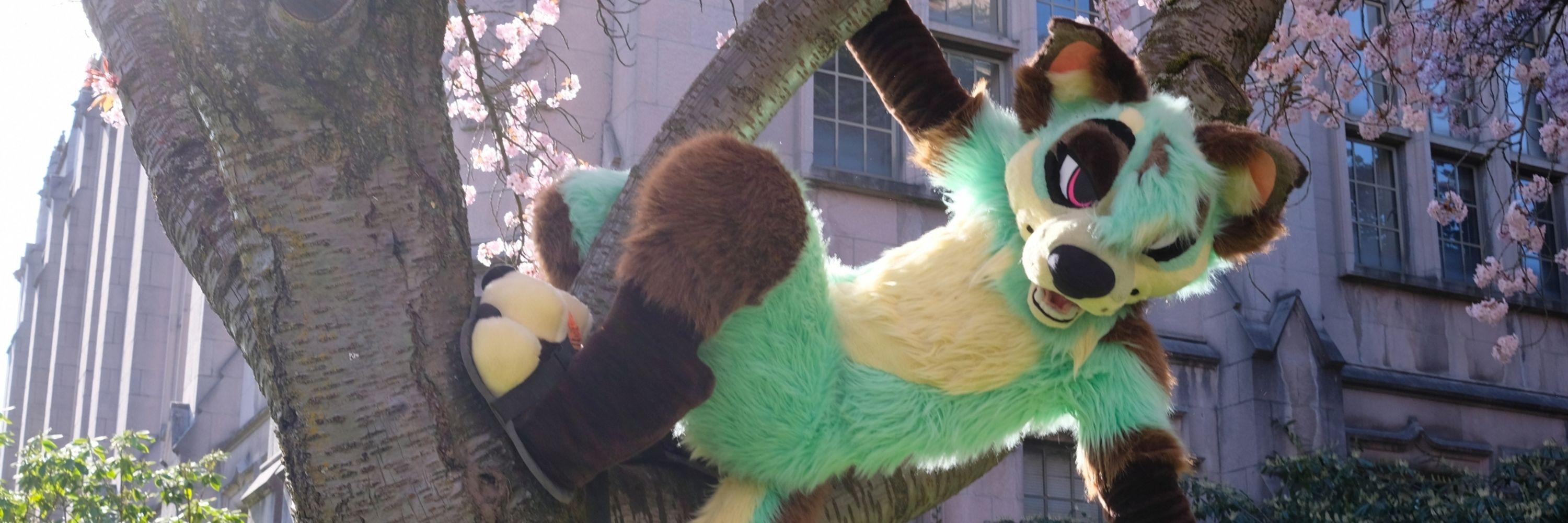 mint mutt :3