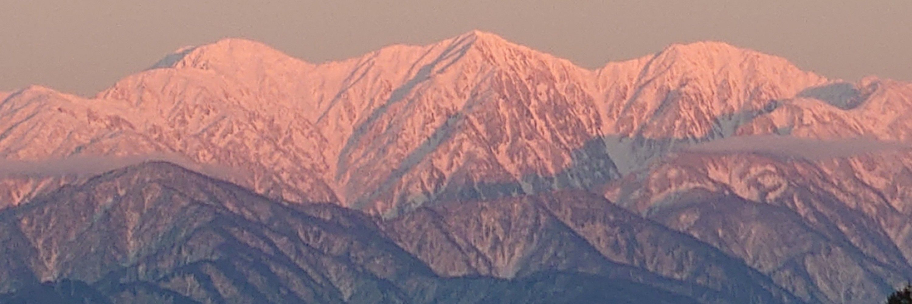 タケチ