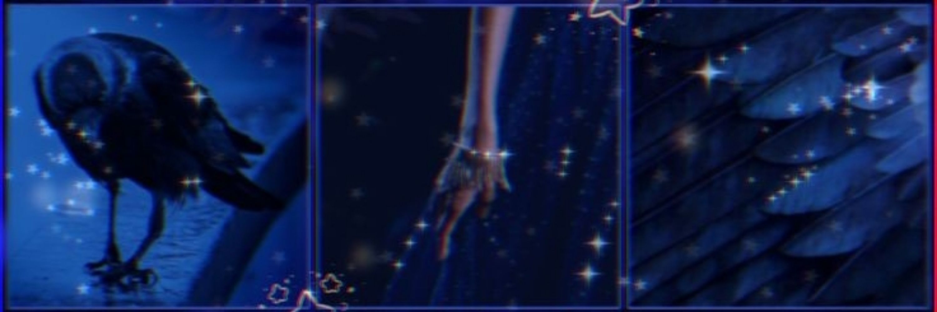 to the stars and never back