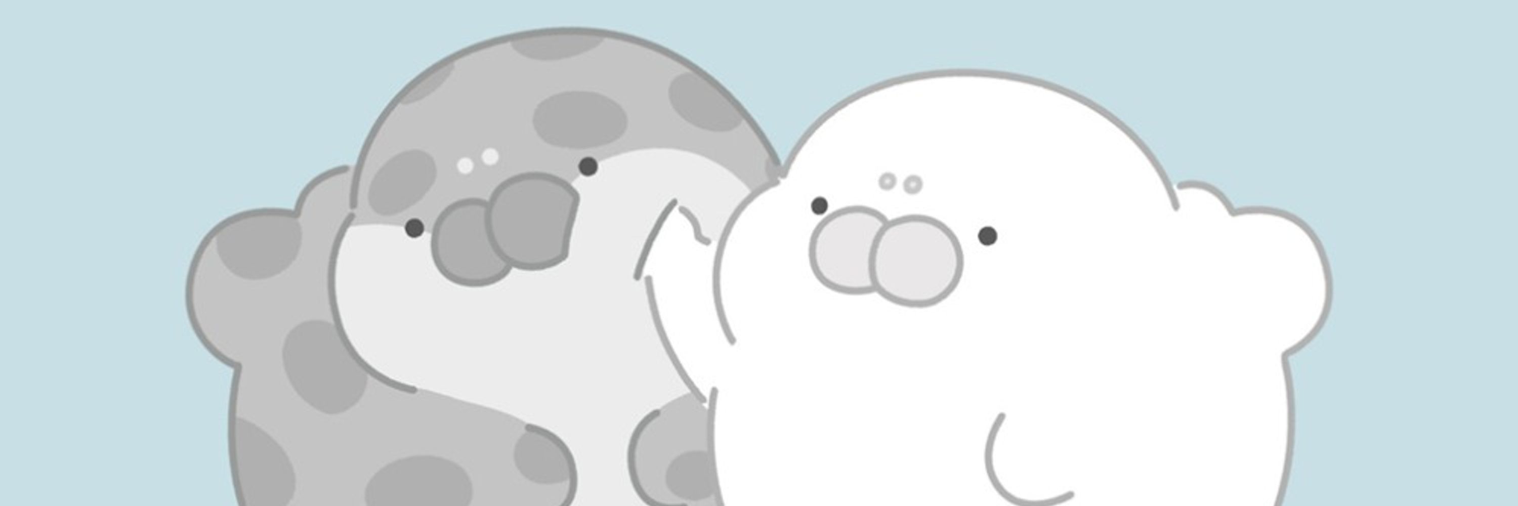 もちたぷあざらし