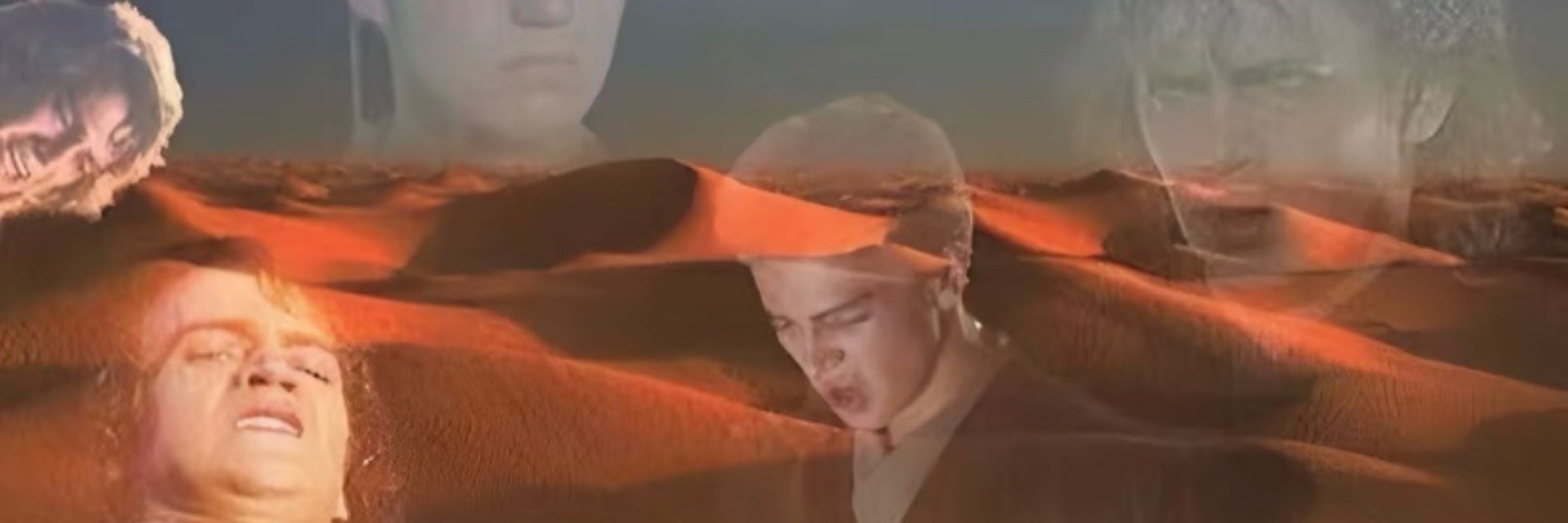сонча🪼