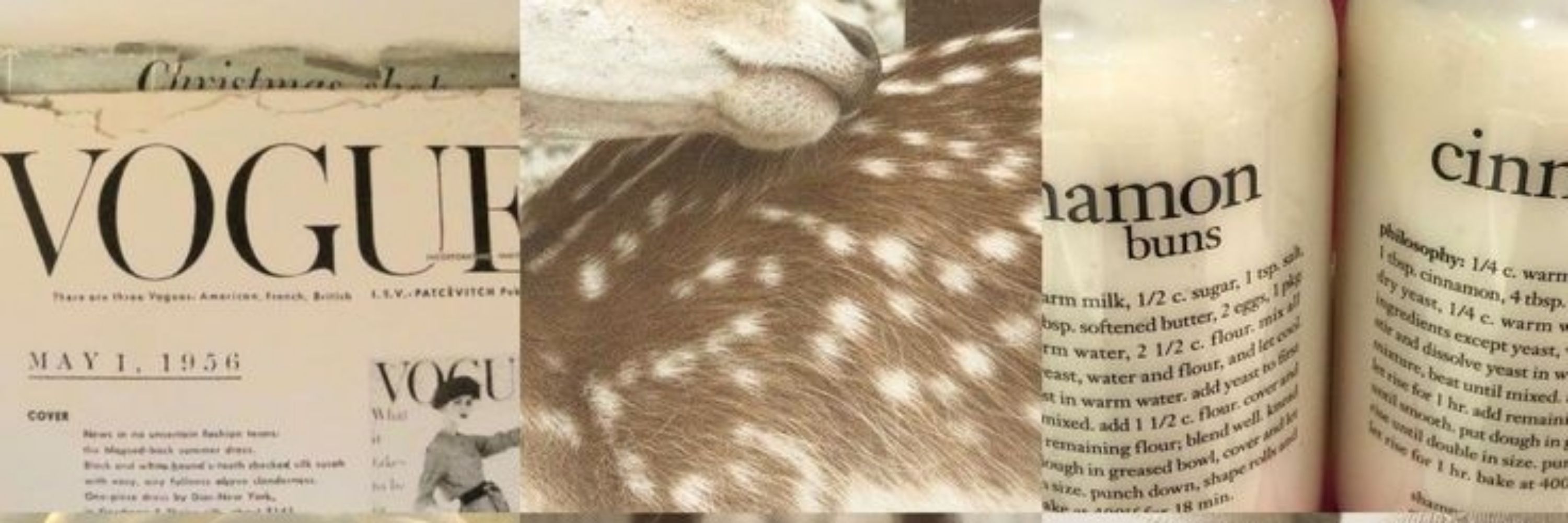 ᥫ᭡.