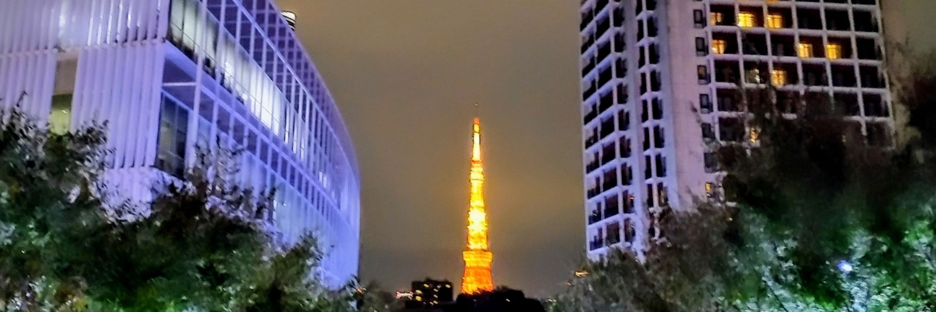 TokyoSirokuromimi